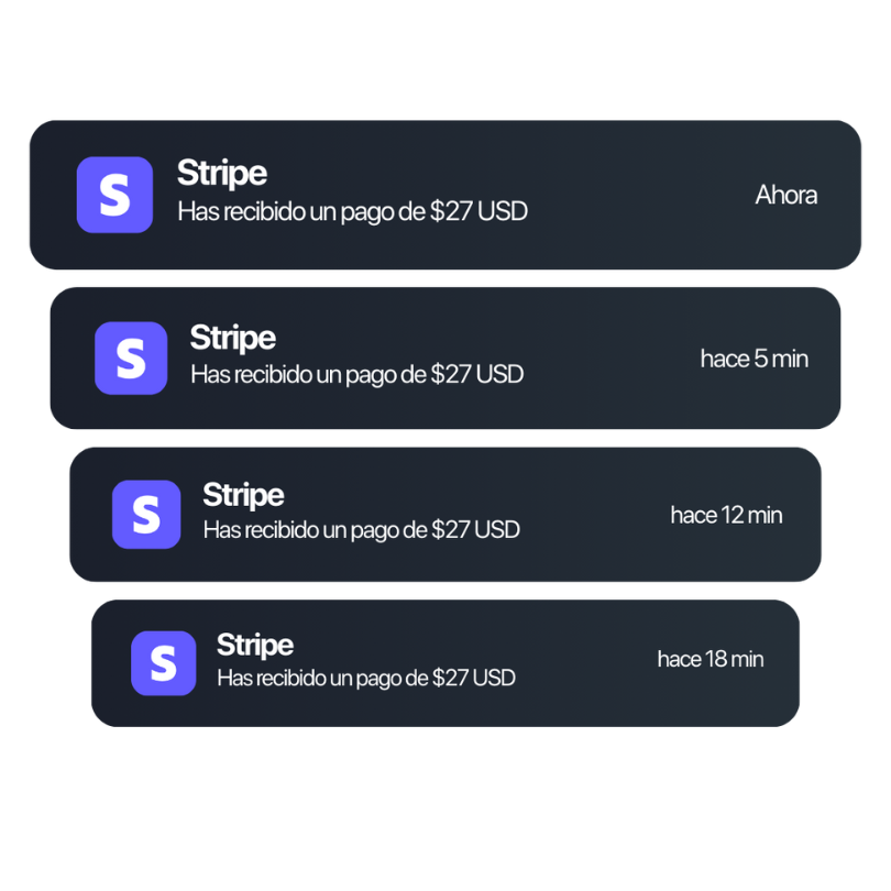 Resultados Dojo Elite